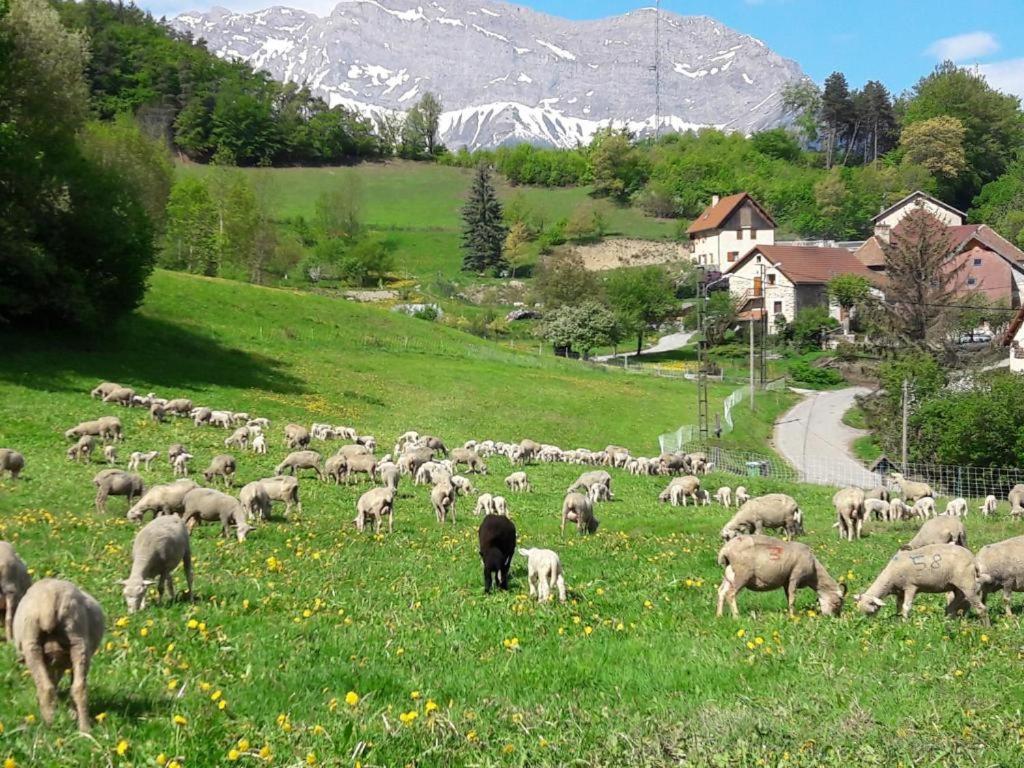 Les Clarines Perceneige - Chambre D'Hotes Vue Sur Montagne & Spa Saint-Jacques-en-Valgodemard Exteriör bild